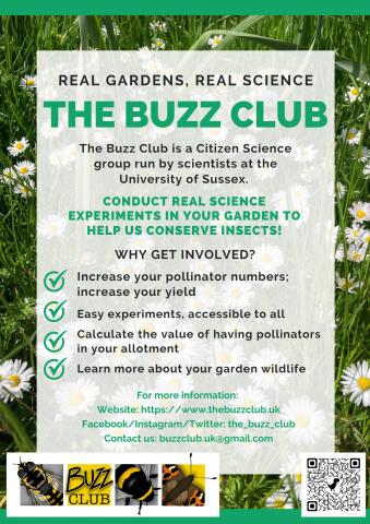 The Buzz Club